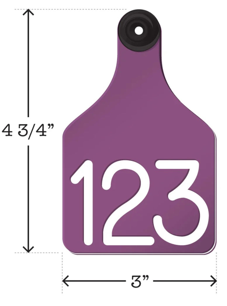 Purple/White Large Cow Tags